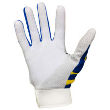Tribe Phenom Palm